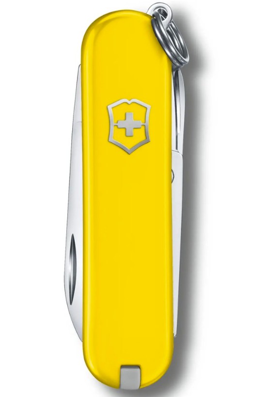 Складаний ніж Victorinox CLASSIC SD Colors 0.6223.8G Фото 2